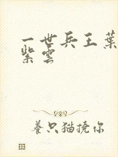 一世兵王叶浩墨紫云