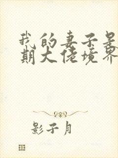 我的妻子是大乘期大佬境界等级