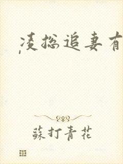 凌总追妻有点甜'