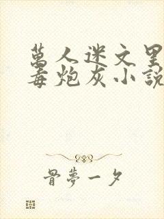 万人迷文里的恶毒炮灰小说安乐