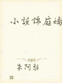 小说锦庭娇