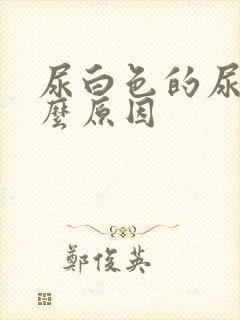 尿白色的尿是什么原因