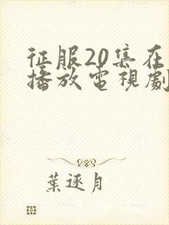 征服20集在线播放电视剧大全