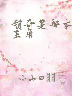 赵奇是哪本小说主角