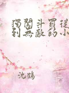 独闯斗罗从穿越到无敌的小说