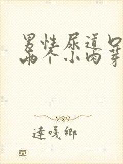 男性尿道口长了两个小肉芽