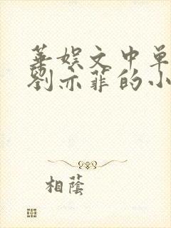 华娱文中单女主刘亦菲的小说