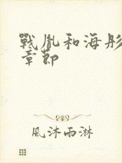 战胤和海彤最新章节