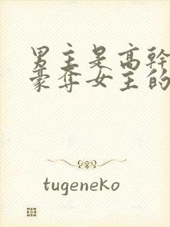 男主是高干强取豪夺女主的小说