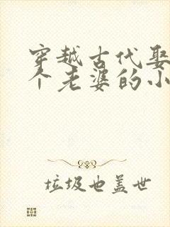 穿越古代娶了八个老婆的小说推荐