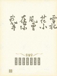 我在风花雪月里等你曹小北结局