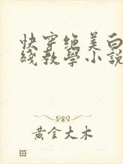 快穿绝美白莲在线教学小说在哪里看