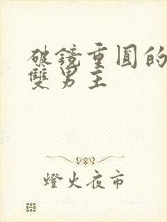 破镜重圆的小说双男主