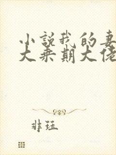 小说我的妻子是大乘期大佬在线阅读