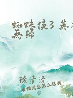 蜘蛛侠3 英雄无归