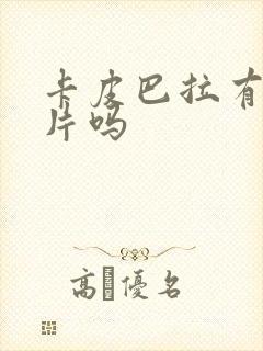 卡皮巴拉有动画片吗