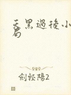 天黑过后小说结局