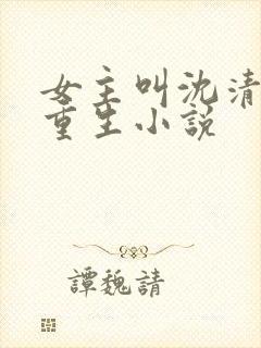 女主叫沈清宁的重生小说