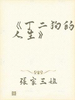 《丁二狗的逆袭人生》
