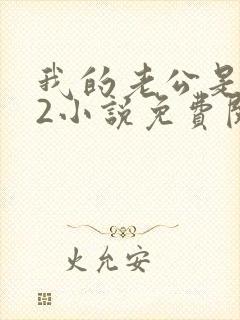 我的老公是冥王2小说免费阅读