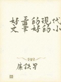 好看的现代言情文笔好的小说