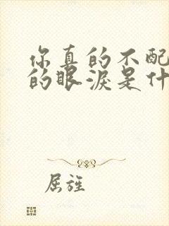 你真的不配我流的眼泪是什么歌词