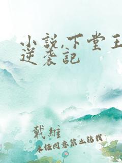 小说,下堂王妃逆袭记
