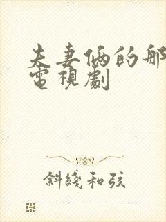 夫妻俩的那些事电视剧