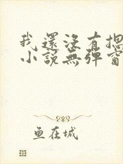 我还没有摁住她小说无弹窗免费阅读