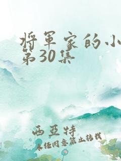 将军家的小娘子第30集