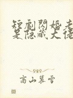 短剧闪婚老公竟是隐藏大佬免费观看