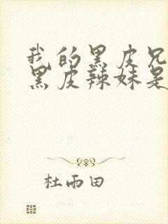 我的黑皮兄弟变黑皮辣妹是第几集