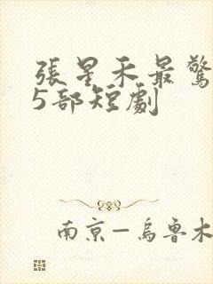 张星禾最惊艳的5部短剧