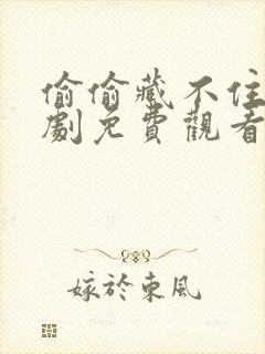 偷偷藏不住电视剧免费观看高清版