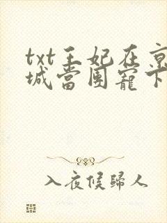 txt王妃在京城当团宠下载