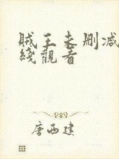 贼王未删减版在线观看