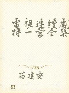 电视连续剧我的特一营全集完整版