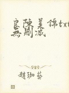 良陈美锦txt无删减