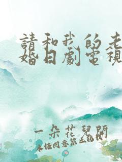 请和我的老公结婚日剧电视剧