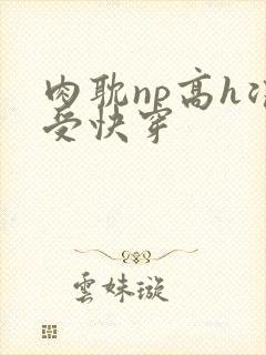 肉耽np高h浪受快穿