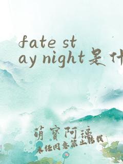 fate stay night是什么意思