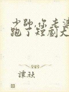 少帅,你老婆又跑了短剧大结局