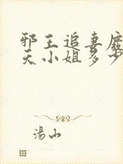 邪王追妻废材逆天小姐多少字