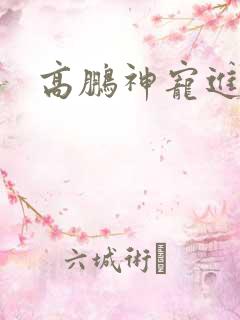 高鹏神宠进化