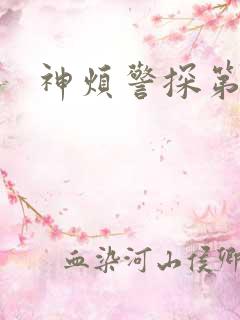 神烦警探第八季