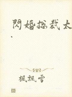 闪婚总裁太霸道.