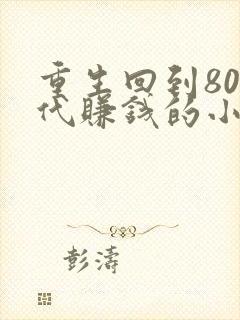 重生回到80年代赚钱的小说
