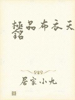 极品布衣天师楚铭