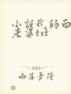 小说我的白富美老婆txt