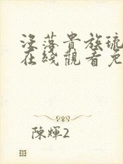 没落贵族琉璃川在线观看免费汉字